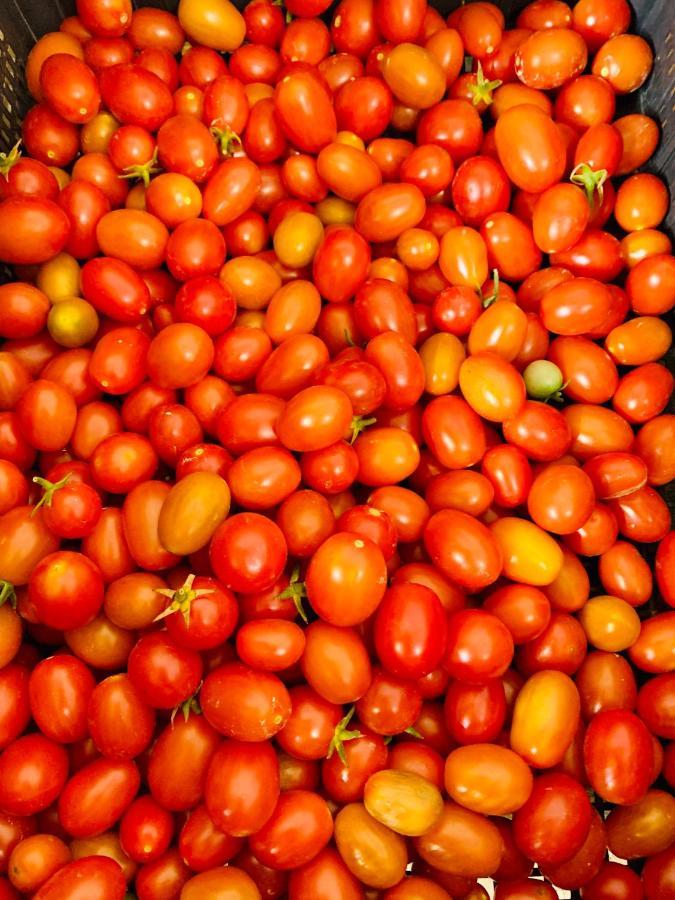 Appartamento Il Pomodoro San Vito Lo Capo Exterior photo